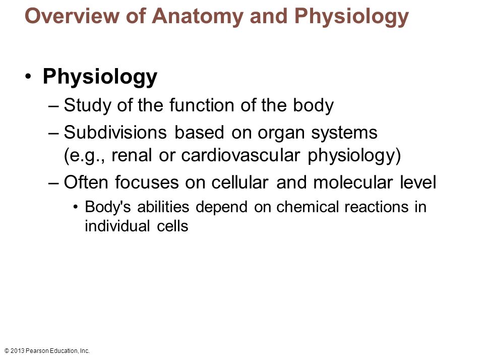 An overview of anatomy and physiology